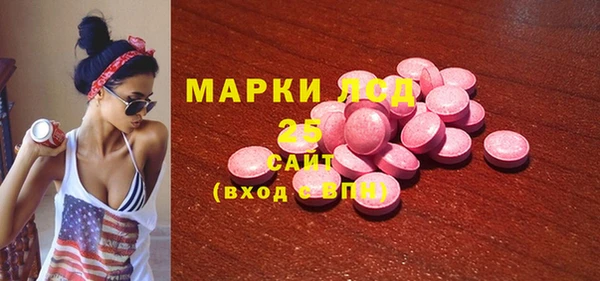 apvp Алексин