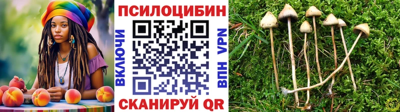 Галлюциногенные грибы Cubensis  Опочка 