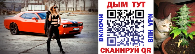 кракен ССЫЛКА  Опочка  Канабис индика 